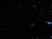 Filename=extant_StarTrekVoyager_4x04-Nemesis_0068.jpg
Filesize=66KiB
Dimensions=1200x900
Date added=May 30, 2018 extant_StarTrekVoyager_4x04-Nemesis_0068.jpg