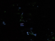 Filename=extant_StarTrekVoyager_4x04-Nemesis_0069.jpg
Filesize=66KiB
Dimensions=1200x900
Date added=May 30, 2018 extant_StarTrekVoyager_4x04-Nemesis_0069.jpg