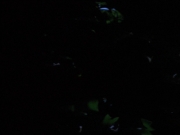 Filename=extant_StarTrekVoyager_4x04-Nemesis_0071.jpg
Filesize=65KiB
Dimensions=1200x900
Date added=May 30, 2018 extant_StarTrekVoyager_4x04-Nemesis_0071.jpg