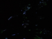 Filename=extant_StarTrekVoyager_4x04-Nemesis_0072.jpg
Filesize=61KiB
Dimensions=1200x900
Date added=May 30, 2018 extant_StarTrekVoyager_4x04-Nemesis_0072.jpg
