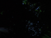 Filename=extant_StarTrekVoyager_4x04-Nemesis_0074.jpg
Filesize=76KiB
Dimensions=1200x900
Date added=May 30, 2018 extant_StarTrekVoyager_4x04-Nemesis_0074.jpg