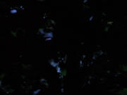 Filename=extant_StarTrekVoyager_4x04-Nemesis_0075.jpg
Filesize=69KiB
Dimensions=1200x900
Date added=May 30, 2018 extant_StarTrekVoyager_4x04-Nemesis_0075.jpg
