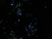 Filename=extant_StarTrekVoyager_4x04-Nemesis_0076.jpg
Filesize=85KiB
Dimensions=1200x900
Date added=May 30, 2018 extant_StarTrekVoyager_4x04-Nemesis_0076.jpg