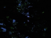 Filename=extant_StarTrekVoyager_4x04-Nemesis_0077.jpg
Filesize=90KiB
Dimensions=1200x900
Date added=May 30, 2018 extant_StarTrekVoyager_4x04-Nemesis_0077.jpg