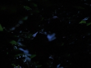 Filename=extant_StarTrekVoyager_4x04-Nemesis_0078.jpg
Filesize=92KiB
Dimensions=1200x900
Date added=May 30, 2018 extant_StarTrekVoyager_4x04-Nemesis_0078.jpg