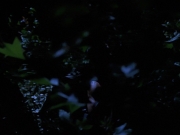 Filename=extant_StarTrekVoyager_4x04-Nemesis_0079.jpg
Filesize=100KiB
Dimensions=1200x900
Date added=May 30, 2018 extant_StarTrekVoyager_4x04-Nemesis_0079.jpg