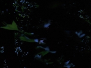 Filename=extant_StarTrekVoyager_4x04-Nemesis_0080.jpg
Filesize=87KiB
Dimensions=1200x900
Date added=May 30, 2018 extant_StarTrekVoyager_4x04-Nemesis_0080.jpg