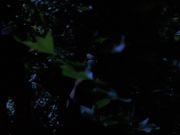 Filename=extant_StarTrekVoyager_4x04-Nemesis_0081.jpg
Filesize=87KiB
Dimensions=1200x900
Date added=May 30, 2018 extant_StarTrekVoyager_4x04-Nemesis_0081.jpg
