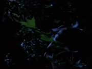 Filename=extant_StarTrekVoyager_4x04-Nemesis_0082.jpg
Filesize=91KiB
Dimensions=1200x900
Date added=May 30, 2018 extant_StarTrekVoyager_4x04-Nemesis_0082.jpg