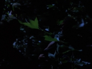 Filename=extant_StarTrekVoyager_4x04-Nemesis_0083.jpg
Filesize=92KiB
Dimensions=1200x900
Date added=May 30, 2018 extant_StarTrekVoyager_4x04-Nemesis_0083.jpg