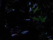Filename=extant_StarTrekVoyager_4x04-Nemesis_0086.jpg
Filesize=90KiB
Dimensions=1200x900
Date added=May 30, 2018 extant_StarTrekVoyager_4x04-Nemesis_0086.jpg