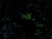 Filename=extant_StarTrekVoyager_4x04-Nemesis_0087.jpg
Filesize=97KiB
Dimensions=1200x900
Date added=May 30, 2018 extant_StarTrekVoyager_4x04-Nemesis_0087.jpg