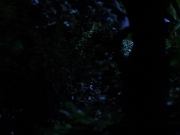 Filename=extant_StarTrekVoyager_4x04-Nemesis_0091.jpg
Filesize=97KiB
Dimensions=1200x900
Date added=May 30, 2018 extant_StarTrekVoyager_4x04-Nemesis_0091.jpg