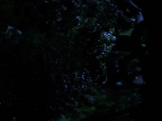 Filename=extant_StarTrekVoyager_4x04-Nemesis_0092.jpg
Filesize=106KiB
Dimensions=1200x900
Date added=May 30, 2018 extant_StarTrekVoyager_4x04-Nemesis_0092.jpg