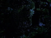 Filename=extant_StarTrekVoyager_4x04-Nemesis_0093.jpg
Filesize=120KiB
Dimensions=1200x900
Date added=May 30, 2018 extant_StarTrekVoyager_4x04-Nemesis_0093.jpg