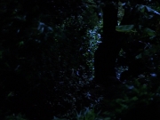Filename=extant_StarTrekVoyager_4x04-Nemesis_0094.jpg
Filesize=121KiB
Dimensions=1200x900
Date added=May 30, 2018 extant_StarTrekVoyager_4x04-Nemesis_0094.jpg