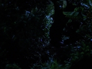 Filename=extant_StarTrekVoyager_4x04-Nemesis_0095.jpg
Filesize=122KiB
Dimensions=1200x900
Date added=May 30, 2018 extant_StarTrekVoyager_4x04-Nemesis_0095.jpg