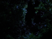 Filename=extant_StarTrekVoyager_4x04-Nemesis_0096.jpg
Filesize=121KiB
Dimensions=1200x900
Date added=May 30, 2018 extant_StarTrekVoyager_4x04-Nemesis_0096.jpg