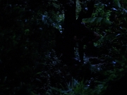 Filename=extant_StarTrekVoyager_4x04-Nemesis_0097.jpg
Filesize=123KiB
Dimensions=1200x900
Date added=May 30, 2018 extant_StarTrekVoyager_4x04-Nemesis_0097.jpg