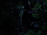 Filename=extant_StarTrekVoyager_4x04-Nemesis_0098.jpg
Filesize=125KiB
Dimensions=1200x900
Date added=May 30, 2018 extant_StarTrekVoyager_4x04-Nemesis_0098.jpg