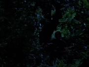 Filename=extant_StarTrekVoyager_4x04-Nemesis_0099.jpg
Filesize=128KiB
Dimensions=1200x900
Date added=May 30, 2018 extant_StarTrekVoyager_4x04-Nemesis_0099.jpg