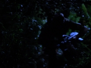 Filename=extant_StarTrekVoyager_4x04-Nemesis_0101.jpg
Filesize=119KiB
Dimensions=1200x900
Date added=May 30, 2018 extant_StarTrekVoyager_4x04-Nemesis_0101.jpg