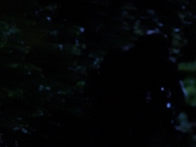 Filename=extant_StarTrekVoyager_4x04-Nemesis_0102.jpg
Filesize=84KiB
Dimensions=1200x900
Date added=May 30, 2018 extant_StarTrekVoyager_4x04-Nemesis_0102.jpg