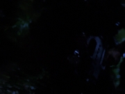 Filename=extant_StarTrekVoyager_4x04-Nemesis_0103.jpg
Filesize=73KiB
Dimensions=1200x900
Date added=May 30, 2018 extant_StarTrekVoyager_4x04-Nemesis_0103.jpg
