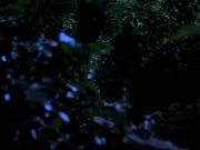 Filename=extant_StarTrekVoyager_4x04-Nemesis_0104.jpg
Filesize=122KiB
Dimensions=1200x900
Date added=May 30, 2018 extant_StarTrekVoyager_4x04-Nemesis_0104.jpg