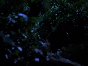 Filename=extant_StarTrekVoyager_4x04-Nemesis_0105.jpg
Filesize=121KiB
Dimensions=1200x900
Date added=May 30, 2018 extant_StarTrekVoyager_4x04-Nemesis_0105.jpg