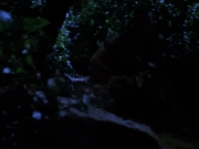 Filename=extant_StarTrekVoyager_4x04-Nemesis_0106.jpg
Filesize=105KiB
Dimensions=1200x900
Date added=May 30, 2018 extant_StarTrekVoyager_4x04-Nemesis_0106.jpg