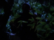 Filename=extant_StarTrekVoyager_4x04-Nemesis_0107.jpg
Filesize=107KiB
Dimensions=1200x900
Date added=May 30, 2018 extant_StarTrekVoyager_4x04-Nemesis_0107.jpg