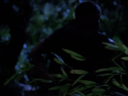 Filename=extant_StarTrekVoyager_4x04-Nemesis_0108.jpg
Filesize=108KiB
Dimensions=1200x900
Date added=May 30, 2018 extant_StarTrekVoyager_4x04-Nemesis_0108.jpg