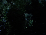 Filename=extant_StarTrekVoyager_4x04-Nemesis_0111.jpg
Filesize=114KiB
Dimensions=1200x900
Date added=May 30, 2018 extant_StarTrekVoyager_4x04-Nemesis_0111.jpg