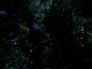 Filename=extant_StarTrekVoyager_4x04-Nemesis_0112.jpg
Filesize=122KiB
Dimensions=1200x900
Date added=May 30, 2018 extant_StarTrekVoyager_4x04-Nemesis_0112.jpg