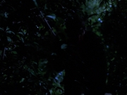 Filename=extant_StarTrekVoyager_4x04-Nemesis_0115.jpg
Filesize=104KiB
Dimensions=1200x900
Date added=May 30, 2018 extant_StarTrekVoyager_4x04-Nemesis_0115.jpg