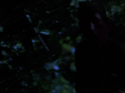 Filename=extant_StarTrekVoyager_4x04-Nemesis_0116.jpg
Filesize=88KiB
Dimensions=1200x900
Date added=May 30, 2018 extant_StarTrekVoyager_4x04-Nemesis_0116.jpg