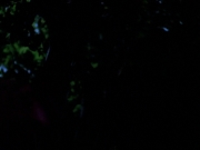 Filename=extant_StarTrekVoyager_4x04-Nemesis_0118.jpg
Filesize=59KiB
Dimensions=1200x900
Date added=May 30, 2018 extant_StarTrekVoyager_4x04-Nemesis_0118.jpg