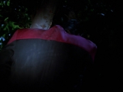Filename=extant_StarTrekVoyager_4x04-Nemesis_0121.jpg
Filesize=74KiB
Dimensions=1200x900
Date added=May 30, 2018 extant_StarTrekVoyager_4x04-Nemesis_0121.jpg