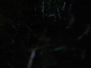 Filename=extant_StarTrekVoyager_4x04-Nemesis_0324.jpg
Filesize=85KiB
Dimensions=1200x900
Date added=May 30, 2018 extant_StarTrekVoyager_4x04-Nemesis_0324.jpg