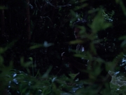 extant_StarTrekVoyager_4x04-Nemesis_4168.jpg