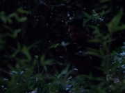 extant_StarTrekVoyager_4x04-Nemesis_4170.jpg