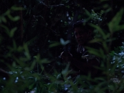 extant_StarTrekVoyager_4x04-Nemesis_4173.jpg
