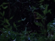 extant_StarTrekVoyager_4x04-Nemesis_4175.jpg