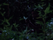 extant_StarTrekVoyager_4x04-Nemesis_4177.jpg