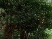 Filename=extant_StarTrekVoyager_4x04-Nemesis_4397.jpg
Filesize=193KiB
Dimensions=1200x900
Date added=May 30, 2018 extant_StarTrekVoyager_4x04-Nemesis_4397.jpg