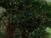 Filename=extant_StarTrekVoyager_4x04-Nemesis_4398.jpg
Filesize=198KiB
Dimensions=1200x900
Date added=May 30, 2018 extant_StarTrekVoyager_4x04-Nemesis_4398.jpg