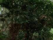 Filename=extant_StarTrekVoyager_4x04-Nemesis_4399.jpg
Filesize=195KiB
Dimensions=1200x900
Date added=May 30, 2018 extant_StarTrekVoyager_4x04-Nemesis_4399.jpg