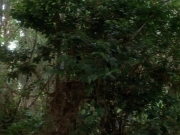 Filename=extant_StarTrekVoyager_4x04-Nemesis_4400.jpg
Filesize=196KiB
Dimensions=1200x900
Date added=May 30, 2018 extant_StarTrekVoyager_4x04-Nemesis_4400.jpg