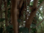 Filename=extant_StarTrekVoyager_4x04-Nemesis_4411.jpg
Filesize=162KiB
Dimensions=1200x900
Date added=May 30, 2018 extant_StarTrekVoyager_4x04-Nemesis_4411.jpg